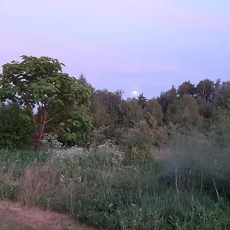 Mazurska Pod Klonowym Lisciem Tatil Evi *